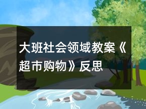 大班社會領(lǐng)域教案《超市購物》反思