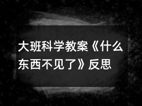 大班科學(xué)教案《什么東西不見了》反思