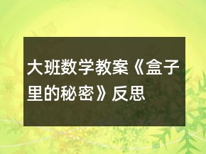 大班數(shù)學(xué)教案《盒子里的秘密》反思
