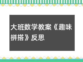 大班數(shù)學(xué)教案《趣味拼搭》反思