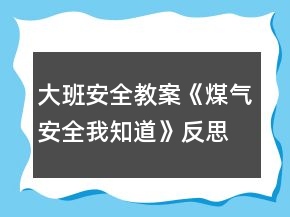 大班安全教案《煤氣安全我知道》反思