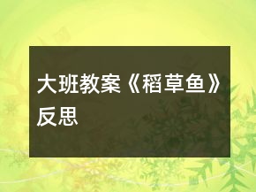 大班教案《稻草魚》反思