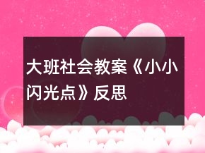 大班社會(huì)教案《小小“閃光點(diǎn)”》反思