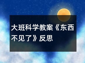 大班科學(xué)教案《東西不見了》反思