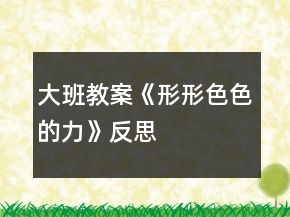 大班教案《形形色色的力》反思