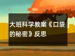 大班科學(xué)教案《口袋的秘密》反思