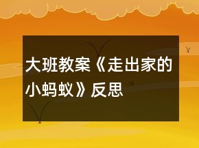 大班教案《走出家的小螞蟻》反思