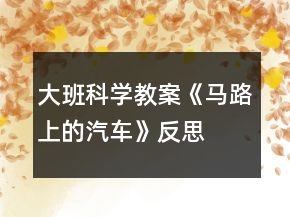 大班科學(xué)教案《馬路上的汽車(chē)》反思