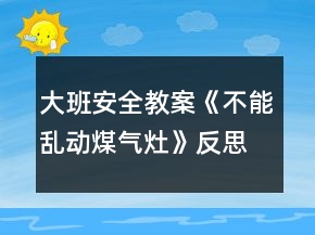大班安全教案《不能亂動煤氣灶》反思