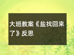 大班教案《鹽找回來(lái)了》反思