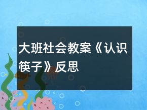 大班社會教案《認識筷子》反思