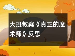 大班教案《真正的魔術(shù)師》反思