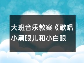 大班音樂教案《歌唱小黑眼兒和小白眼兒》反思