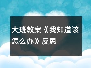 大班教案《我知道該怎么辦》反思