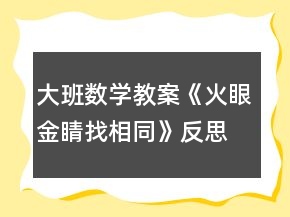 大班數(shù)學教案《火眼金睛找相同》反思