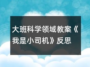 大班科學(xué)領(lǐng)域教案《我是小司機(jī)》反思