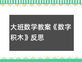 大班數(shù)學(xué)教案《數(shù)字積木》反思