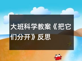 大班科學(xué)教案《把它們分開(kāi)》反思