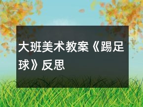 大班美術教案《踢足球》反思