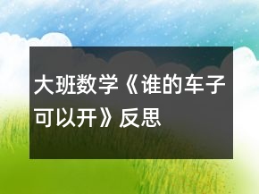 大班數(shù)學《誰的車子可以開》反思