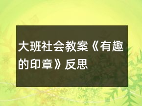 大班社會(huì)教案《有趣的印章》反思