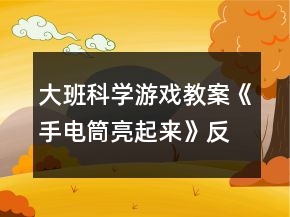 大班科學游戲教案《手電筒亮起來》反思
