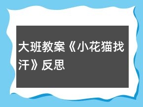 大班教案《小花貓找汗》反思