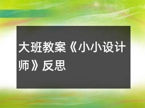大班教案《小小設(shè)計(jì)師》反思