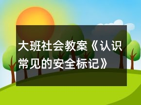大班社會(huì)教案《認(rèn)識(shí)常見的安全標(biāo)記》反思