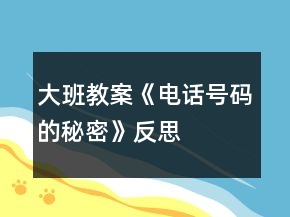 大班教案《電話號(hào)碼的秘密》反思