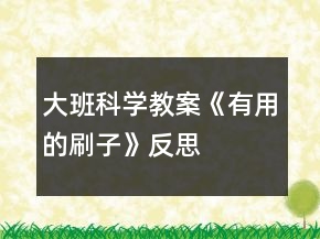 大班科學(xué)教案《有用的刷子》反思
