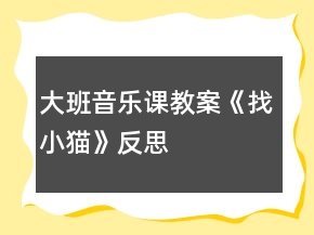 大班音樂課教案《找小貓》反思