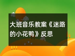 大班音樂教案《迷路的小花鴨》反思