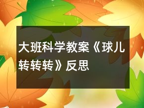 大班科學(xué)教案《球兒轉(zhuǎn)轉(zhuǎn)轉(zhuǎn)》反思