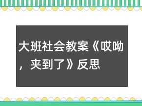 大班社會(huì)教案《哎呦，夾到了》反思