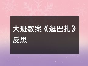 大班教案《逛巴扎》反思