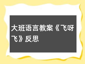大班語言教案《飛呀飛》反思