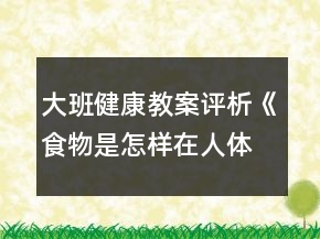 大班健康教案評析《食物是怎樣在人體旅行的》反思
