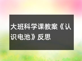 大班科學(xué)課教案《認(rèn)識(shí)電池》反思