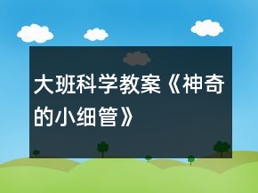 大班科學(xué)教案《神奇的小細(xì)管》