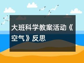 大班科學(xué)教案活動(dòng)《空氣》反思