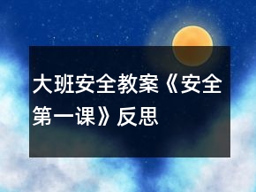 大班安全教案《安全第一課》反思