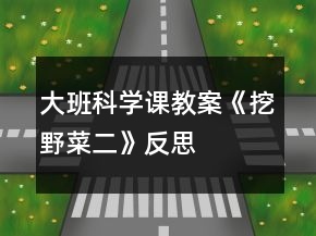 大班科學(xué)課教案《挖野菜（二）》反思