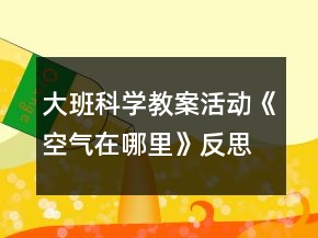 大班科學(xué)教案活動《空氣在哪里》反思