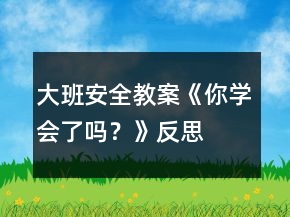 大班安全教案《你學(xué)會(huì)了嗎？》反思