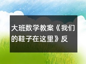 大班數(shù)學(xué)教案《我們的鞋子在這里》反思