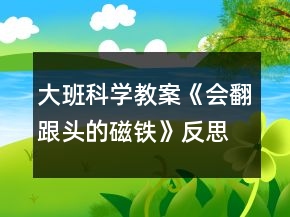 大班科學教案《會翻跟頭的磁鐵》反思