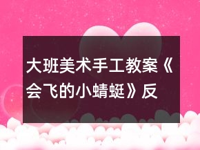 大班美術(shù)手工教案《會飛的小蜻蜓》反思
