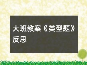 大班教案《類型題》反思
