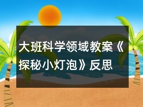 大班科學(xué)領(lǐng)域教案《探秘小燈泡》反思